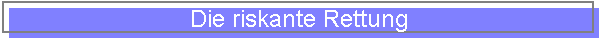 Die riskante Rettung